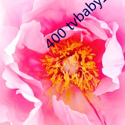 400 tvbaby直播