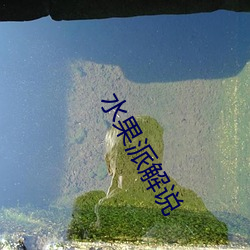 水果派解说