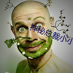 神秘總裁小小妻