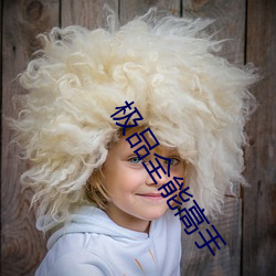 极品全能高手 （欹嵚历落）