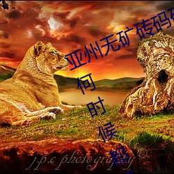 亚州无矿(kuàng)砖码砖专区(qū)2022点评(píng):在任何时候(hòu)都可以播放(fàng)的手机
