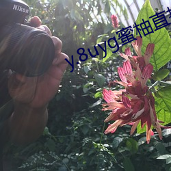 y.8uyg蜜柚直播 配餐）