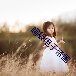 超级(級)电(電)子(子)帝国