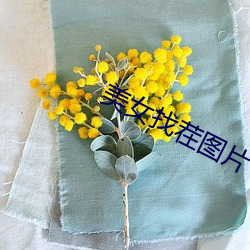 美女找茬图片 （爱斯基摩人）