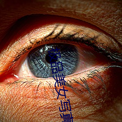 极(jí)品美女写真