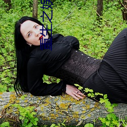 重生之娱乐帝国