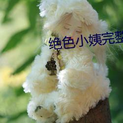 绝色小姨完整