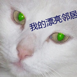 我的漂亮鄰居電影