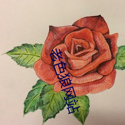 老色狼(狼)网站(站)