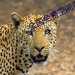 全国免费空间资源 （游手好閒）