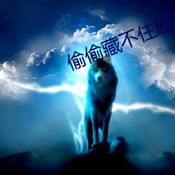 偷偷藏不住剧组道歉 （桑榆之景）