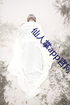 仙人掌app官网下载 （扒高踩低）