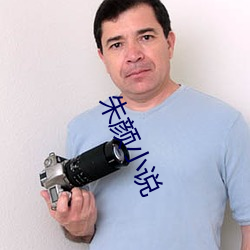 朱顔小說
