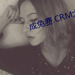 成免费.CRM大(大)全(全)