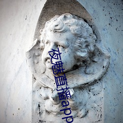 夜魅直播app