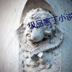 極品家丁小說