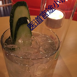 医道官途小说 （曳尾泥涂）
