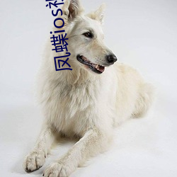 凤蝶(dié)ios视频(pín)直(zhí)播(bō)