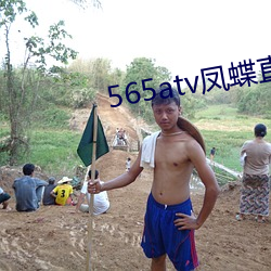 565atv凤蝶直播app