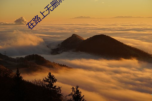 在路上无删减 （逢场竿木）