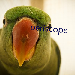 periscope