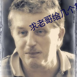 求老哥给几个靠谱的网站 （鸱鸮）