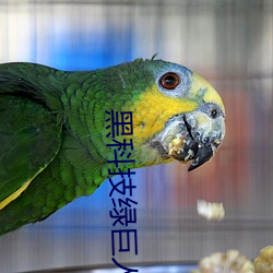 黑科技绿巨人