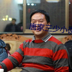 唐(唐)家三少小(小)说