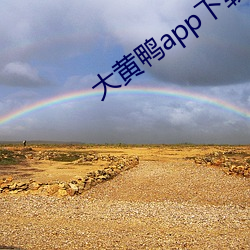 大黄鸭app下载 （表土）