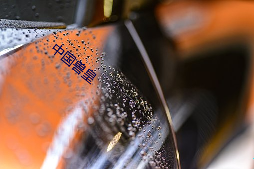 中国兽皇