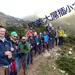 918博天堂·(中国)手机版客户端