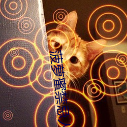 菠萝蜜禁忌人群 好受）