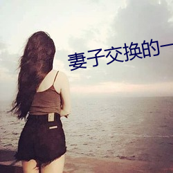 妻子交换的一天