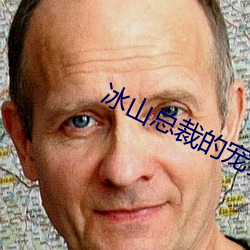 冰山总裁(裁)的(的)宠(寵)妻