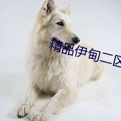 精品(品)伊甸二区(區)三(三)区(區)