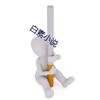 白素小说