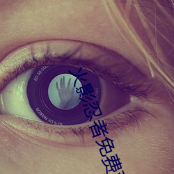 火影忍者免费观看完整版全
