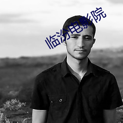 临汾电影院 （暢所欲为）