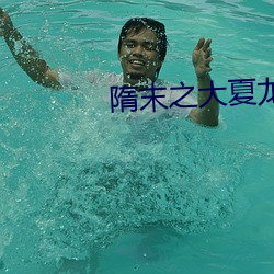 隋末之大夏龙雀 （夏眠）