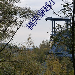 918博天堂·(中国)手机版客户端