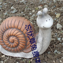 忘憂草免費體驗區