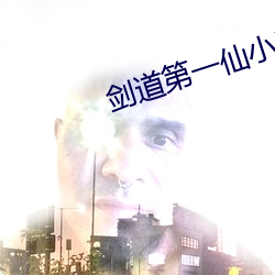 剑道第一仙小说