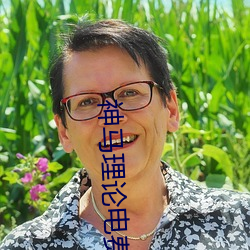 神馬理論電費