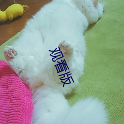 观看版