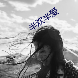 半欢半爱