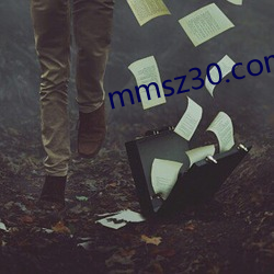 mmsz30.com