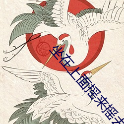坐(坐)在上面(面)摇来摇去