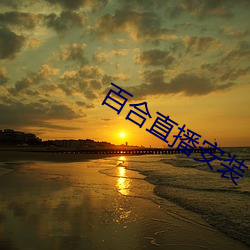 百合直播安裝