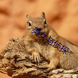 美女(女)与(與)侦探