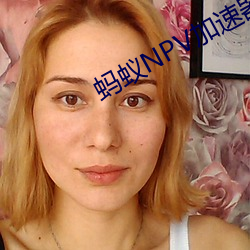 螞蟻NPV加速器